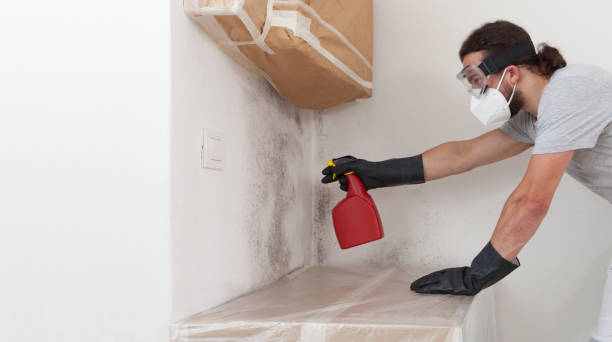 Professional Bathroom Mold Removal technician working in Albertson, NY