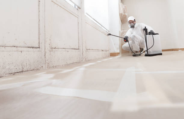 24/7 Emergency Bathroom Mold Removal experts in Albertson, NY